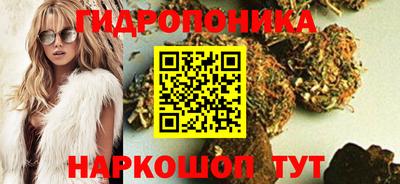 Альфа ПВП Кимры